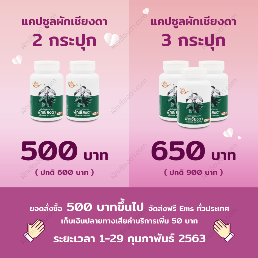 ผักเชียงดา_1_1040x1040