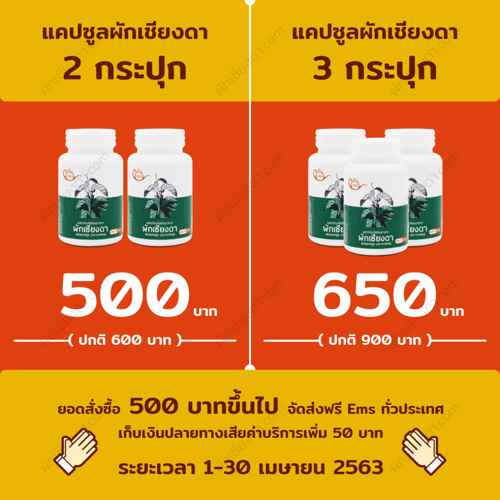 ผักเชียงดา_1