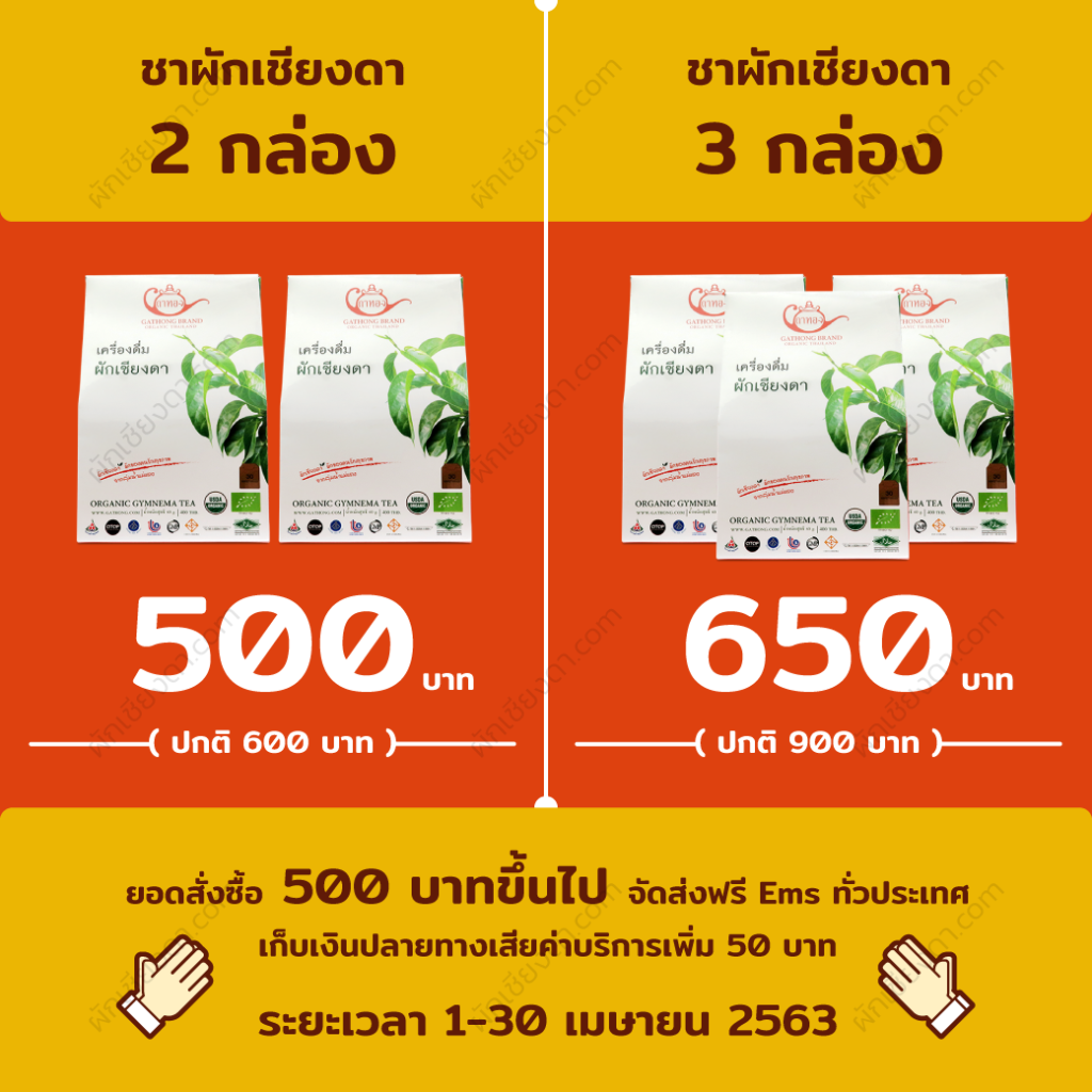 ผักเชียงดา_2