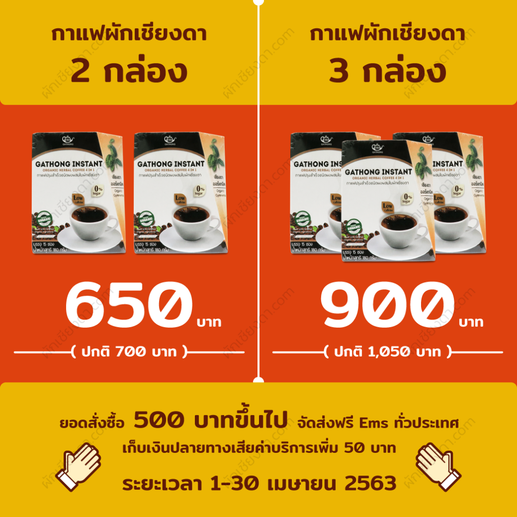 ผักเชียงดา_3