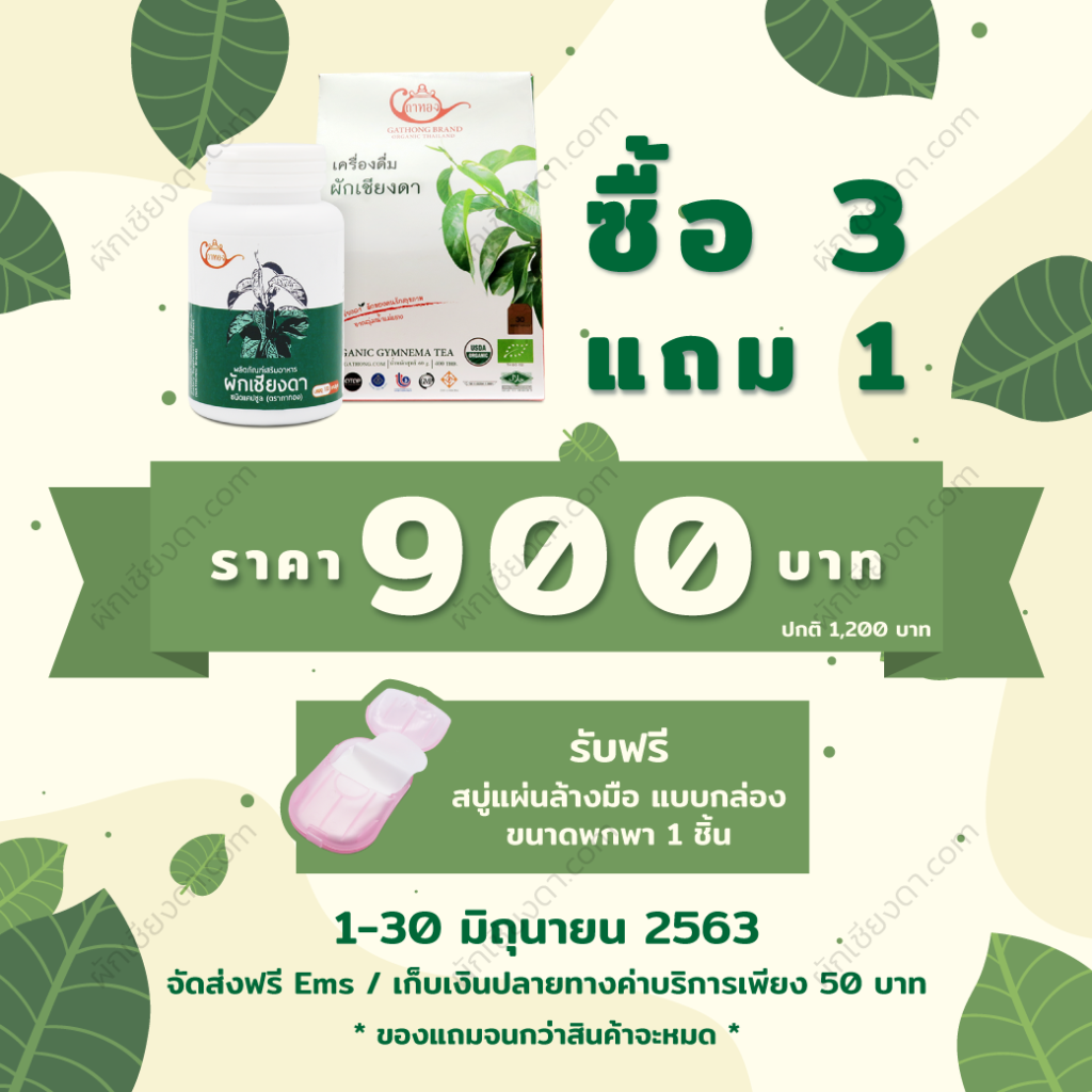 ผักเชียงดา-Promotion-Jun-2020-1 ผักเชียงดา-Promotion-Jun-2020-1