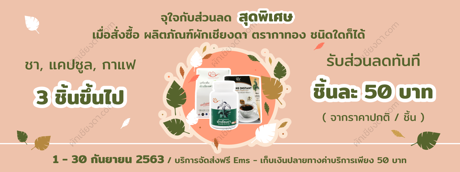 ผักเชียงดาPromotion-Sep.-2020-1 ผักเชียงดาPromotion-Sep.-2020-1