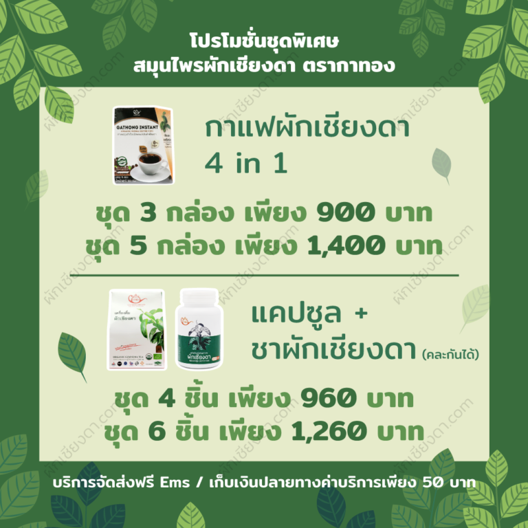 ผักเชียงดา-Promotion-Nov.-2020-1 ผักเชียงดา-Promotion-Nov.-2020-1